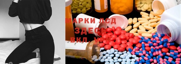 гашик Богородицк