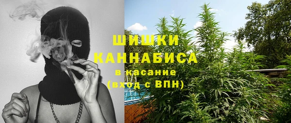 сатива Богородск