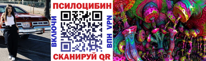 сколько стоит  Коломна  Галлюциногенные грибы Psilocybine cubensis 